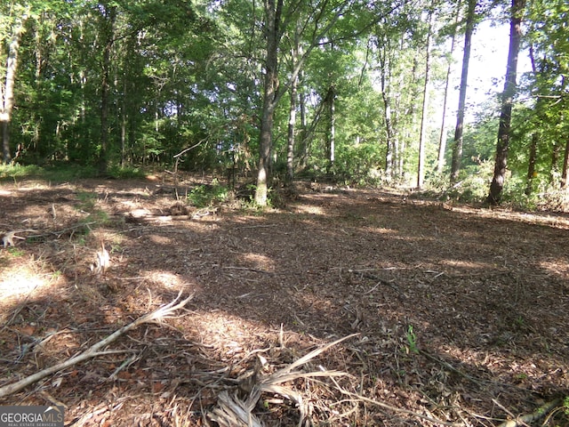 26ACRES Pj E Rd, Covington, GA 30014