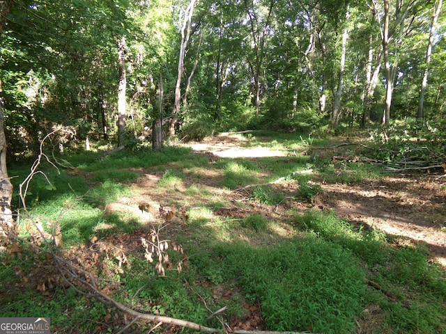 26ACRES Pj E Rd, Covington, GA 30014