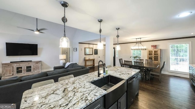 180 Mountain Path, Rockmart, GA 30153 - kitchen featuring a sink, open floor plan, dark wood-type flooring, baseboards, and stainless steel dishwasher
