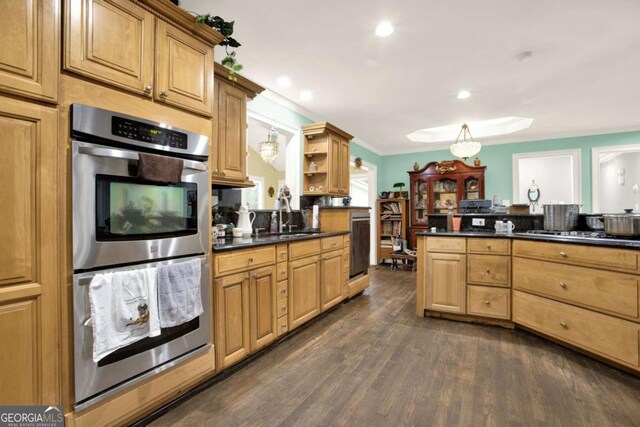 4845 Willow St, Acworth, GA 30101 - kitchen featuring appliances with stainless steel finishes, open shelves, dark countertops, dark wood-style floors, and crown molding