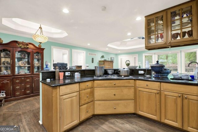 4845 Willow St, Acworth, GA 30101 - kitchen with a raised ceiling, dark wood-style floors, stainless steel gas cooktop, glass insert cabinets, and recessed lighting