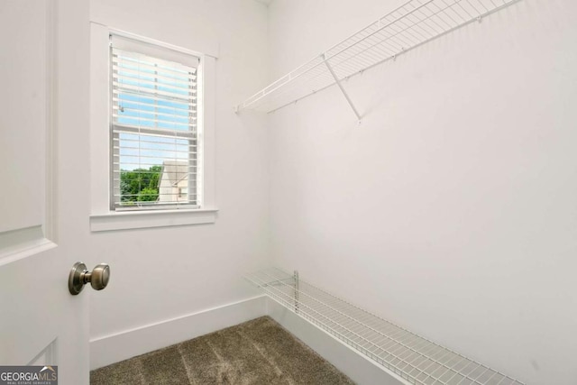 847 Rolling Hl, Kennesaw, GA 30152 - walk in closet with carpet flooring
