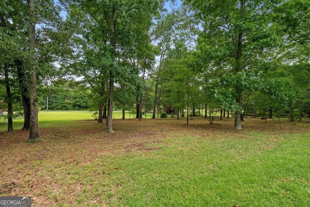 1267 Austin Bridge Rd, Douglasville, GA 30134 - view of grassy yard featuring view of scattered trees