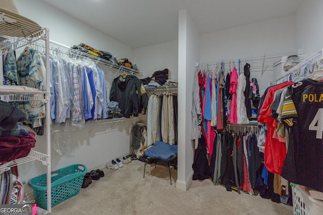 319 Beaconsfield Dr, Sharpsburg, GA 30277 - spacious closet featuring carpet