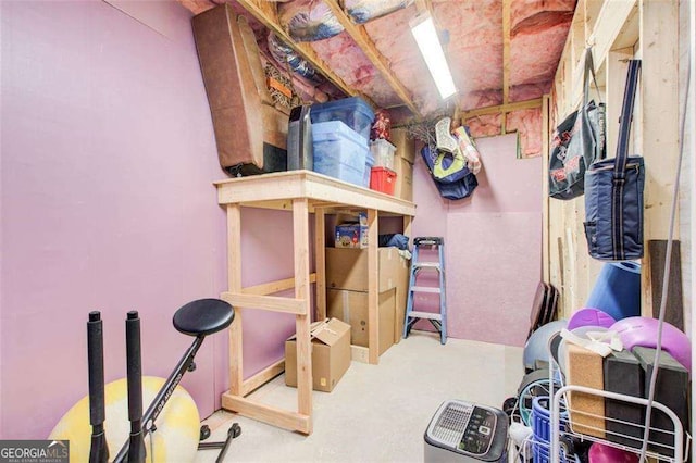 164 Inwood Walk, Woodstock, GA 30188 - view of storage