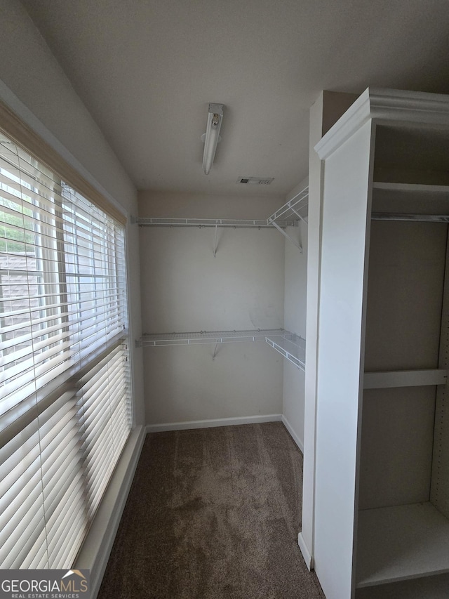 3613 Tinsley Way, Atlanta, GA 30331 - walk in closet featuring carpet floors
