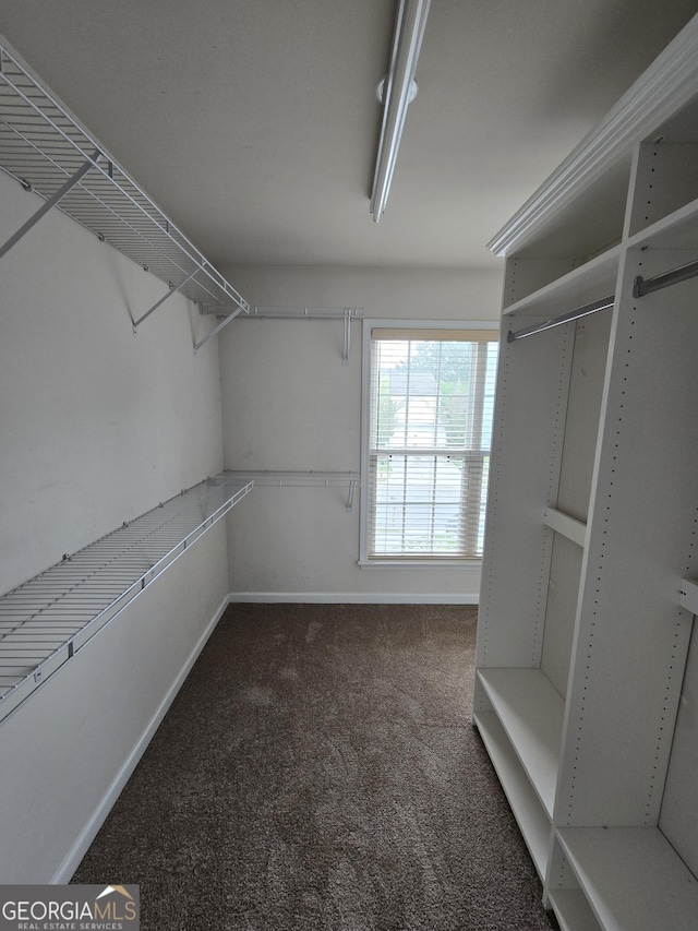 3613 Tinsley Way, Atlanta, GA 30331 - walk in closet featuring carpet flooring