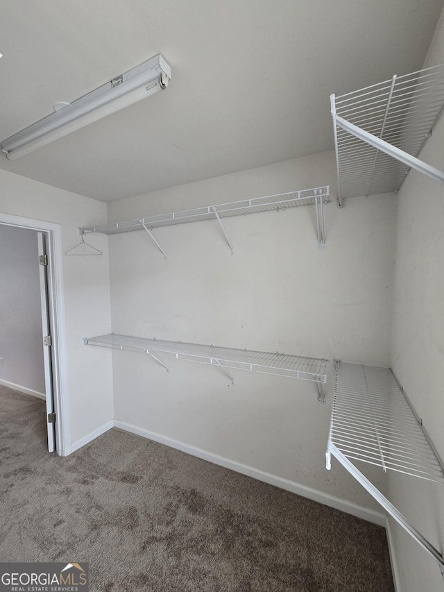 3613 Tinsley Way, Atlanta, GA 30331 - walk in closet featuring carpet flooring