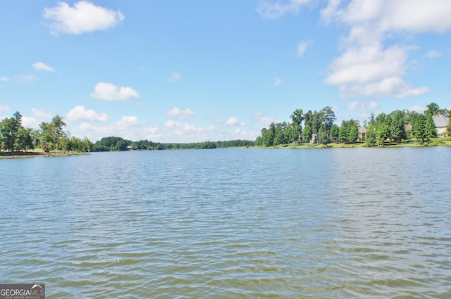 149 Horizon Hl, Newnan, GA 30265 - water view
