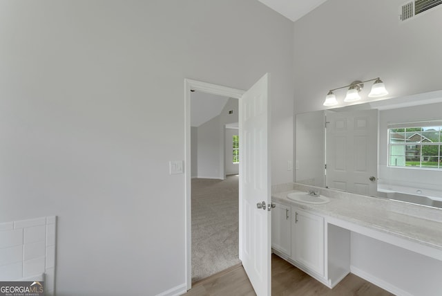 907 Brisley Cir, Hampton, GA 30228 - bathroom featuring vanity, wood finished floors, lofted ceiling, and a bathtub