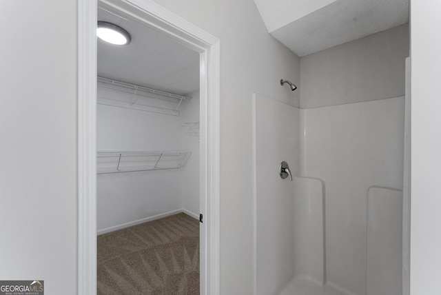 907 Brisley Cir, Hampton, GA 30228 - bathroom featuring a shower and a walk in closet