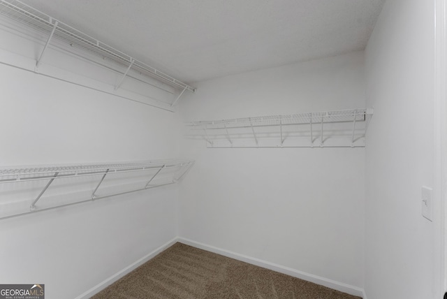 907 Brisley Cir, Hampton, GA 30228 - spacious closet with carpet floors