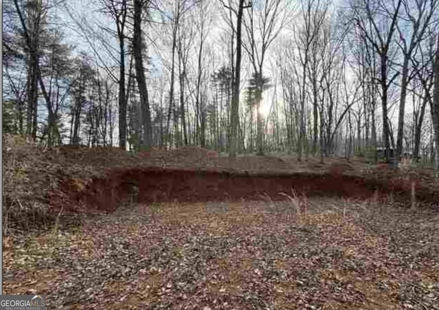 0 Dean Mountain Rd, Cleveland, GA 30528