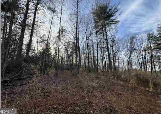 0 Dean Mountain Rd, Cleveland, GA 30528