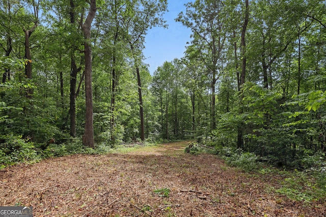 1323 Seven Forks Rd Unit 15, Martin, GA 30557