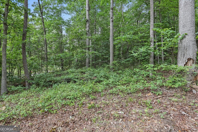 1323 Seven Forks Rd Unit 15, Martin, GA 30557
