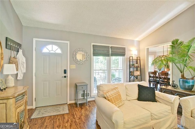 368 Lambeth Dr, Hiram, GA 30141 - foyer entrance featuring wood finished floors, a textured ceiling, lofted ceiling, healthy amount of natural light, and baseboards