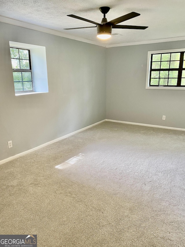 5 Red Fox Dr SW, Rome, GA 30165 - empty room featuring crown molding, a ceiling fan, carpet, baseboards, and a textured ceiling