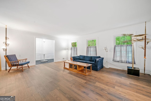 286 Hilton Way, Canton, GA 30114 - living area featuring wood finished floors and ornamental molding