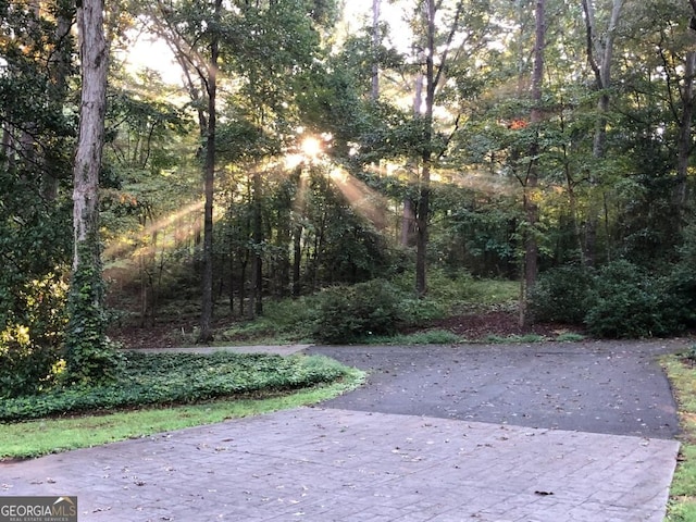 286 Hilton Way, Canton, GA 30114 - view of yard