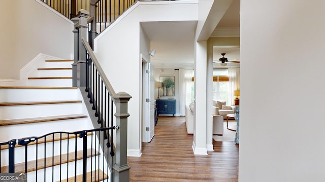 1346 Wind Chime Ct, Lawrenceville, GA 30045 - stairway featuring a ceiling fan, wood finished floors, crown molding, and baseboards