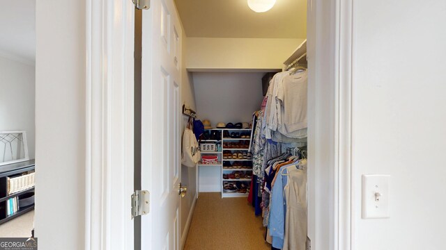 1346 Wind Chime Ct, Lawrenceville, GA 30045 - walk in closet with carpet floors
