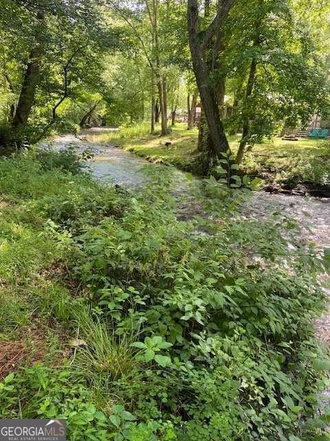 407 Hidden Valley Rd, Cleveland, GA 30528 - view of local wilderness