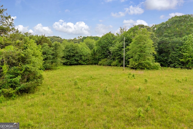 570 Davis Rd, Jefferson, GA 30549 - view of yard featuring a view of trees