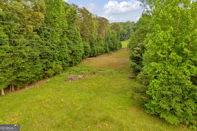 570 Davis Rd, Jefferson, GA 30549 - view of yard with a forest view