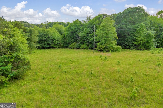 570 Davis Rd, Jefferson, GA 30549 - view of yard with a forest view