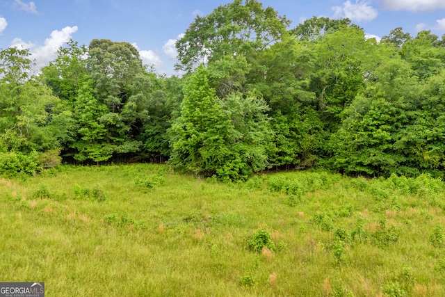 570 Davis Rd, Jefferson, GA 30549 - view of wooded area