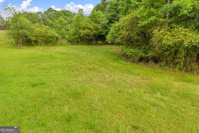 570 Davis Rd, Jefferson, GA 30549 - view of yard