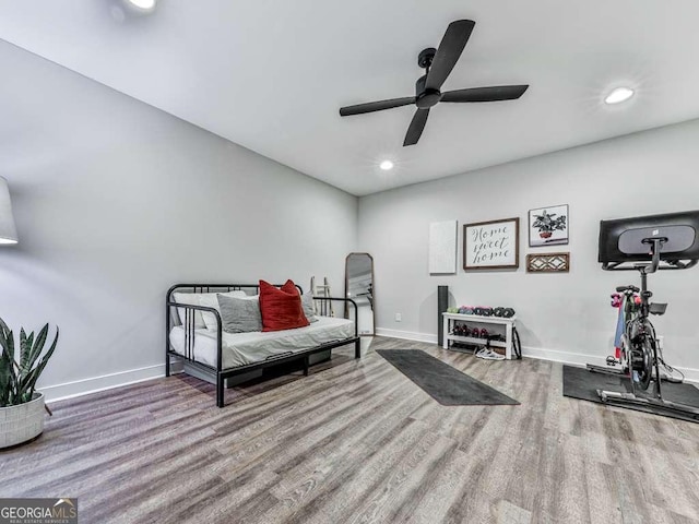 351 Danburg Ct, Jasper, GA 30143 - sitting room featuring wood finished floors, a ceiling fan, baseboards, and recessed lighting