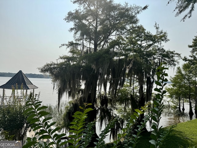 124 N Valhalla Ln, Cordele, GA 31015 - water view