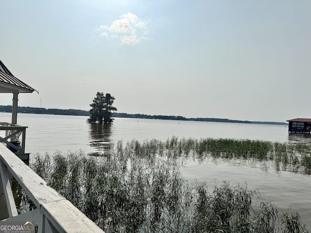 124 N Valhalla Ln, Cordele, GA 31015 - water view