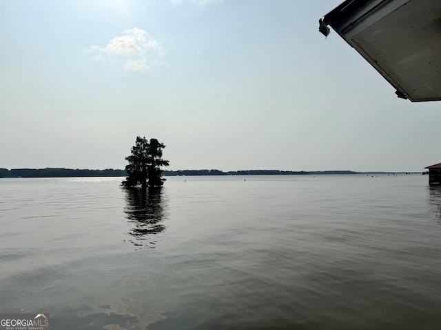 124 N Valhalla Ln, Cordele, GA 31015 - water view