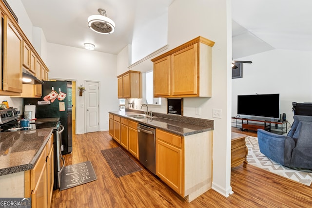 5102 Yellow Stone Dr, Flowery Branch, GA 30542 - kitchen with appliances with stainless steel finishes, open floor plan, a sink, light wood-style floors, and lofted ceiling