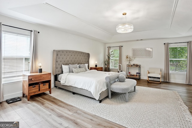 194 Branch Valley Way, Dallas, GA 30132 - bedroom featuring a tray ceiling, multiple windows, wood finished floors, and a chandelier