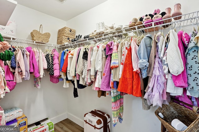 194 Branch Valley Way, Dallas, GA 30132 - walk in closet with wood finished floors