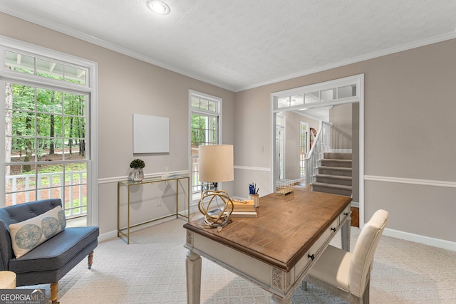 607 Lees Mill Rd, Fayetteville, GA 30214 - office area featuring light carpet, baseboards, ornamental molding, and a textured ceiling