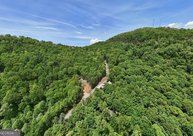 224 Shake Rag Rd, Hiawassee, GA 30546 - bird's eye view of a forest