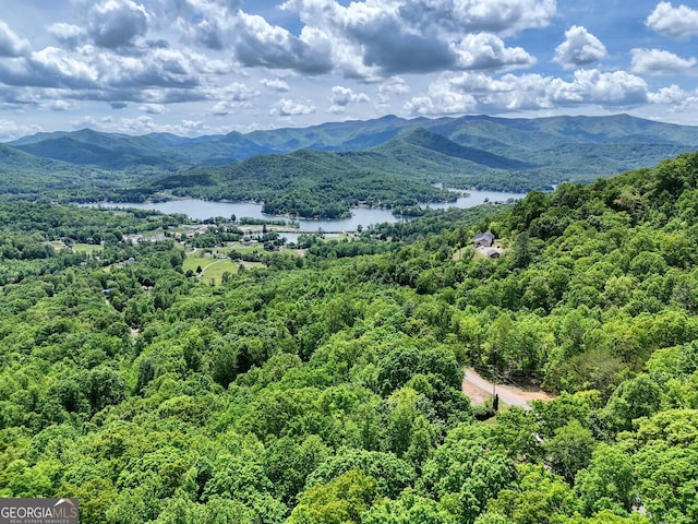 224 Shake Rag Rd, Hiawassee, GA 30546 - view of mountain backdrop with a nearby body of water and a forest