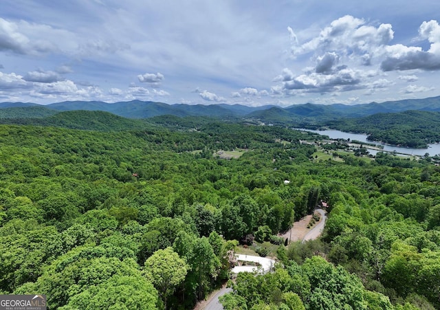 224 Shake Rag Rd, Hiawassee, GA 30546 - drone / aerial view of a forest and a water and mountain view