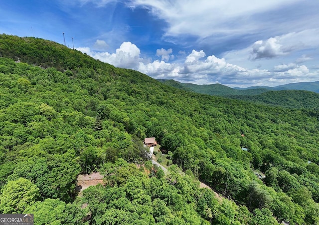 224 Shake Rag Rd, Hiawassee, GA 30546 - view of mountain background with a forest