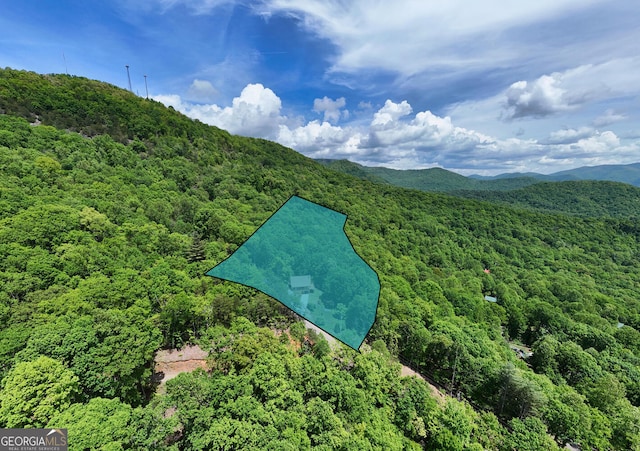 224 Shake Rag Rd, Hiawassee, GA 30546 - drone / aerial view of a forest and mountains