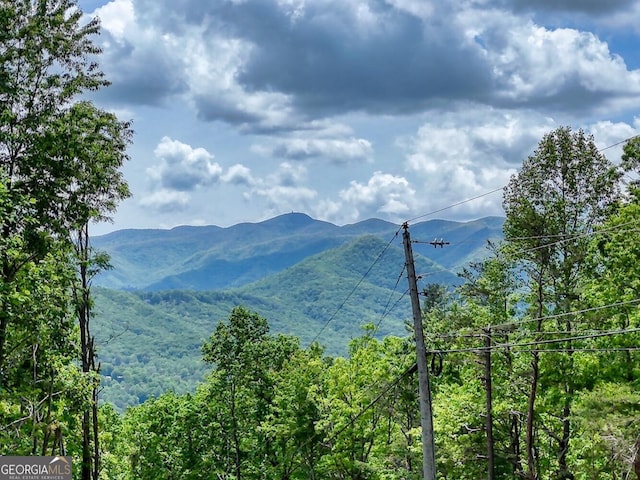 224 Shake Rag Rd, Hiawassee, GA 30546 - view of mountain backdrop