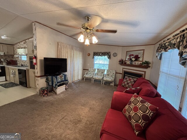 268 Daisy Adams Rd, Cochran, GA 31014