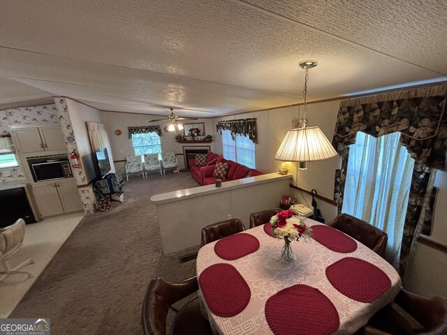 268 Daisy Adams Rd, Cochran, GA 31014