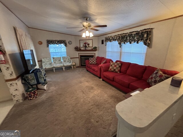 268 Daisy Adams Rd, Cochran, GA 31014
