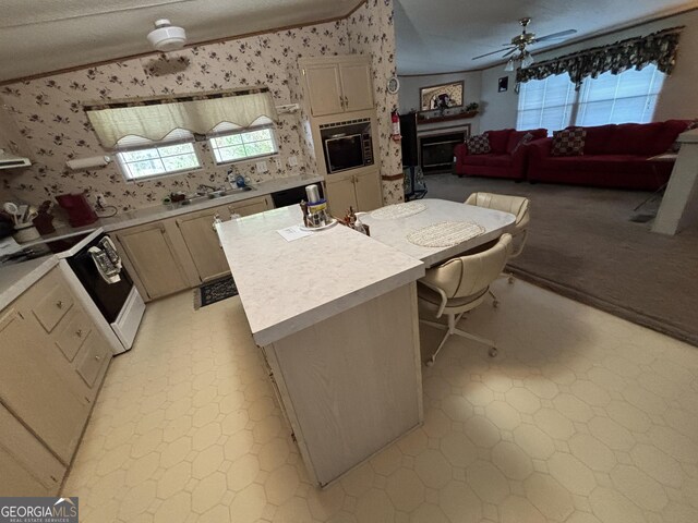 268 Daisy Adams Rd, Cochran, GA 31014